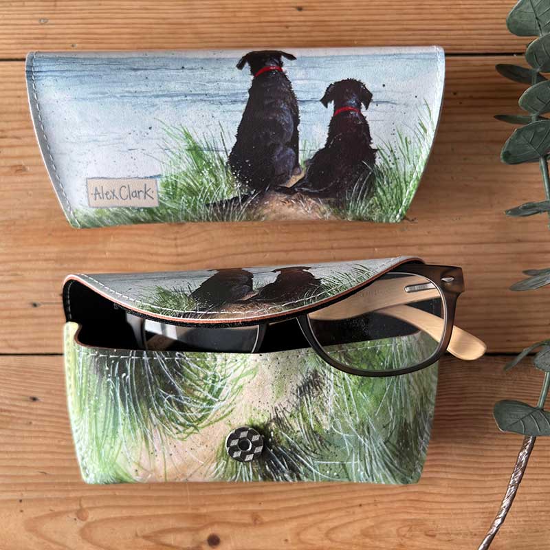 Dunes Spectacle Case