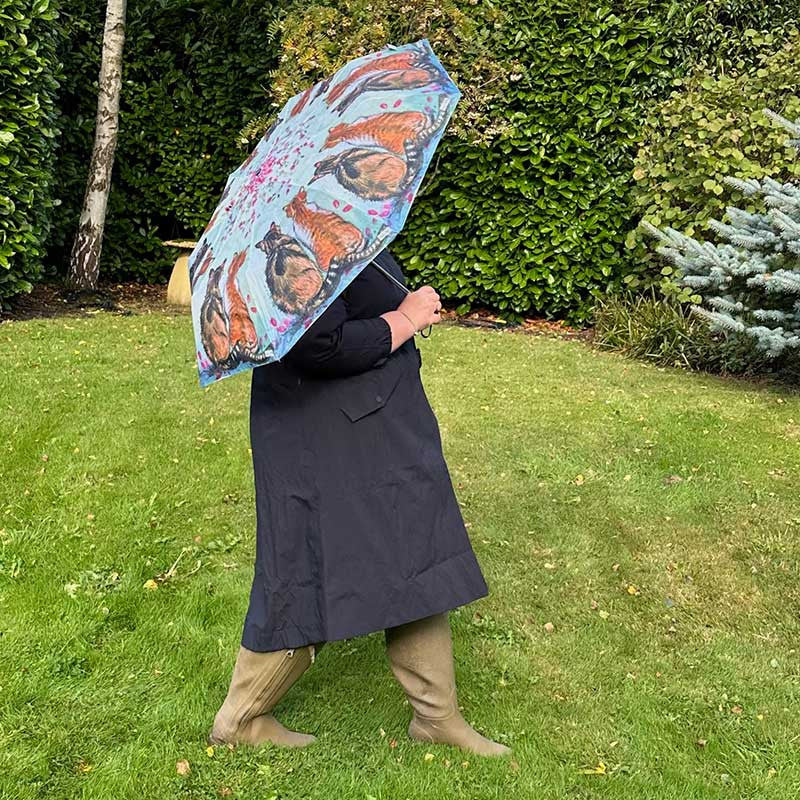 Cats and Blossom Umbrella
