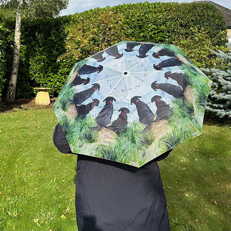 Dunes Umbrella
