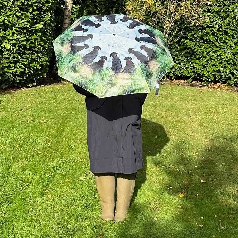 Dunes Umbrella
